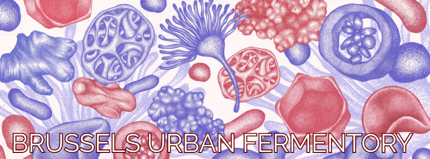 Brussels Urban Fermentory — launch