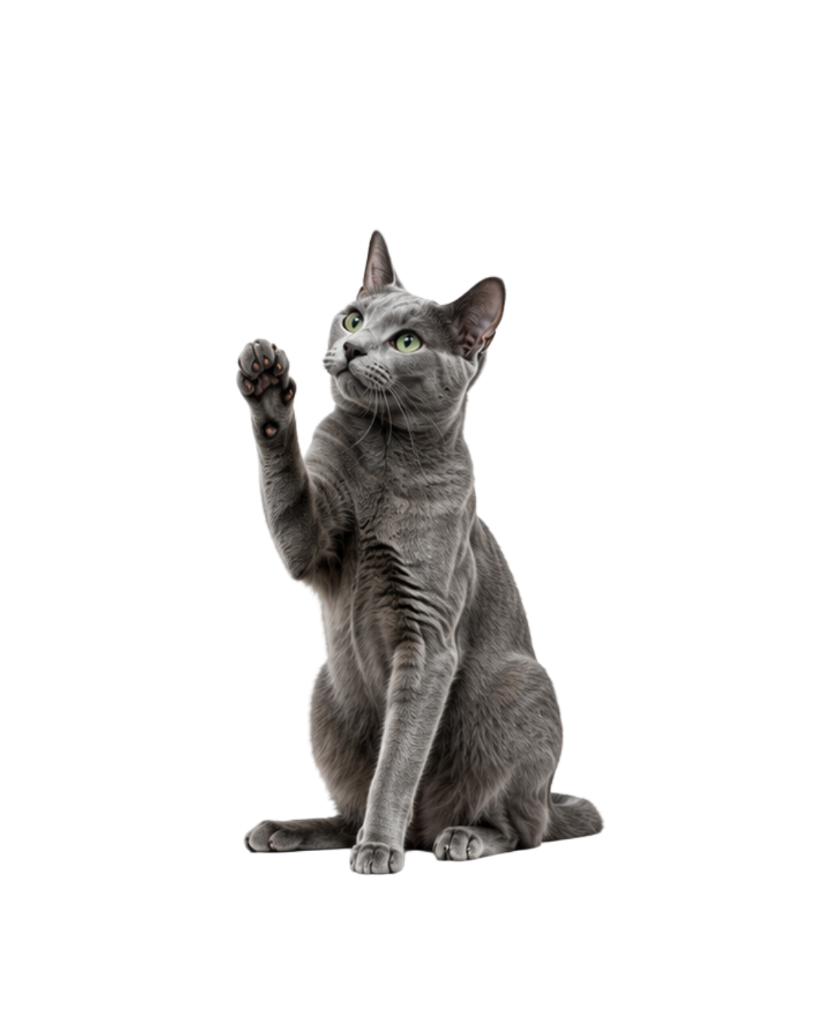 Mr. Whiskers