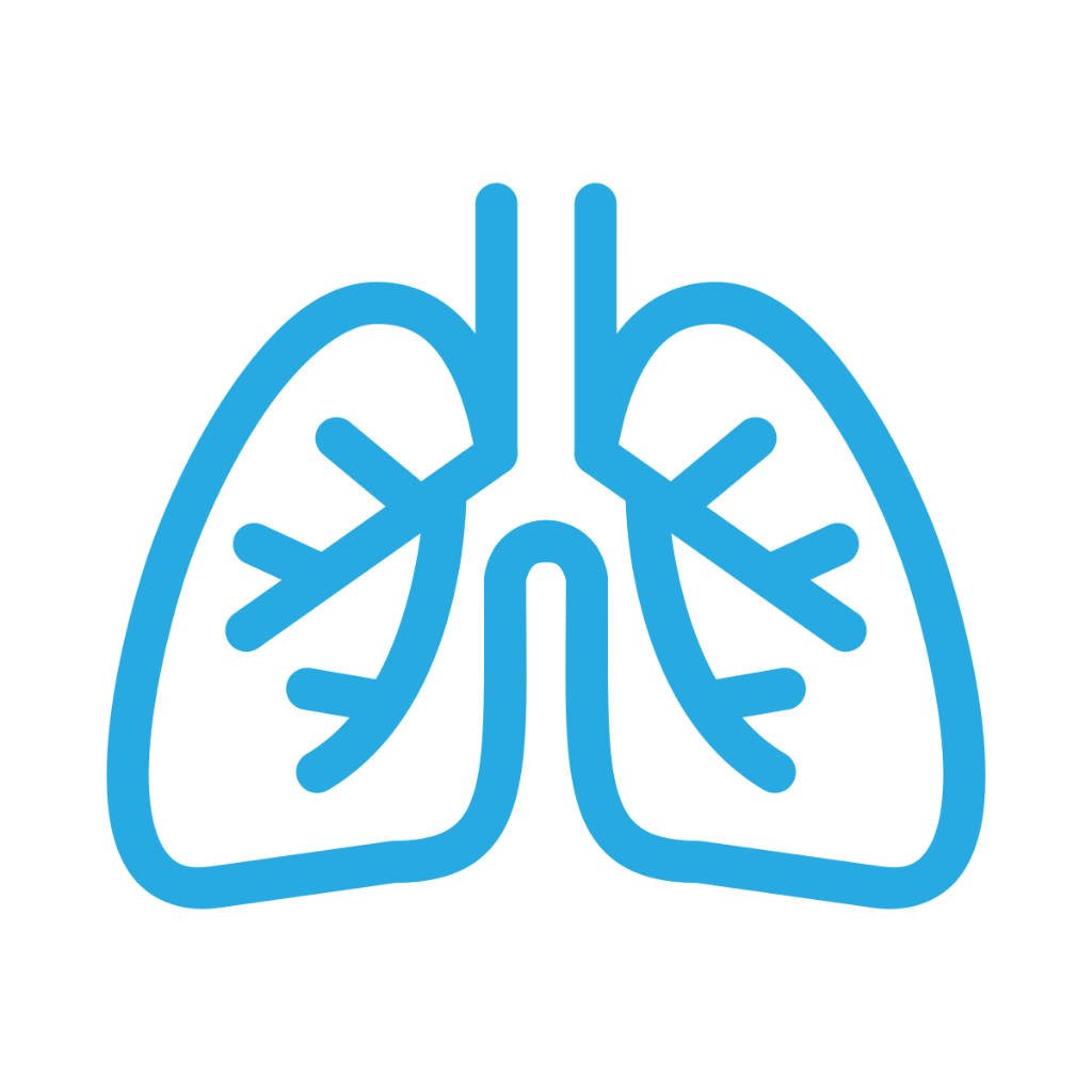 Lungs