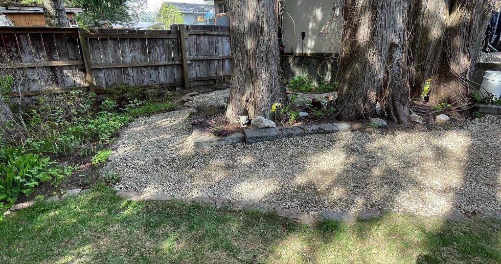 Gravel Bed & Tree Ring