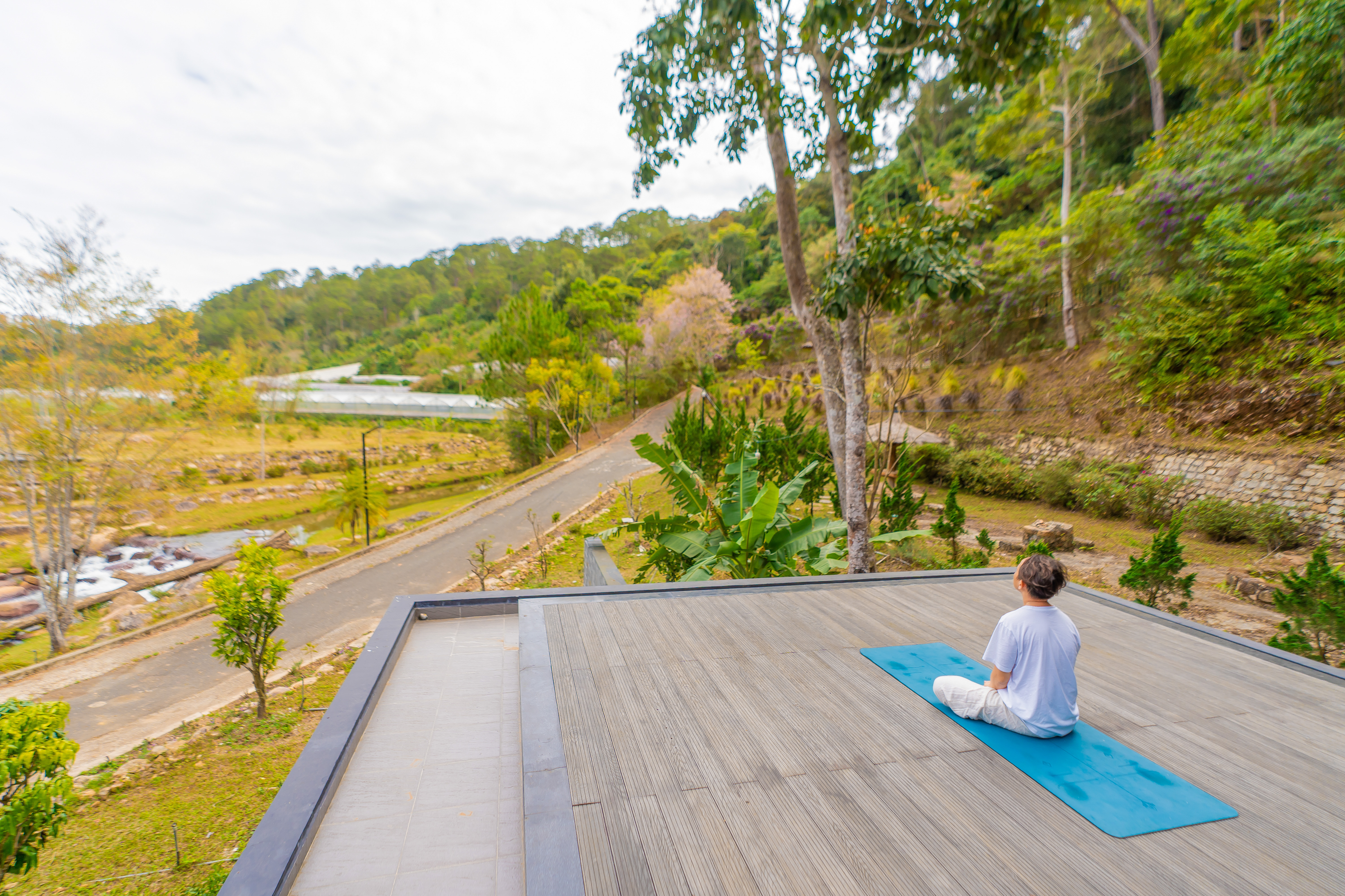 The Forest Deck