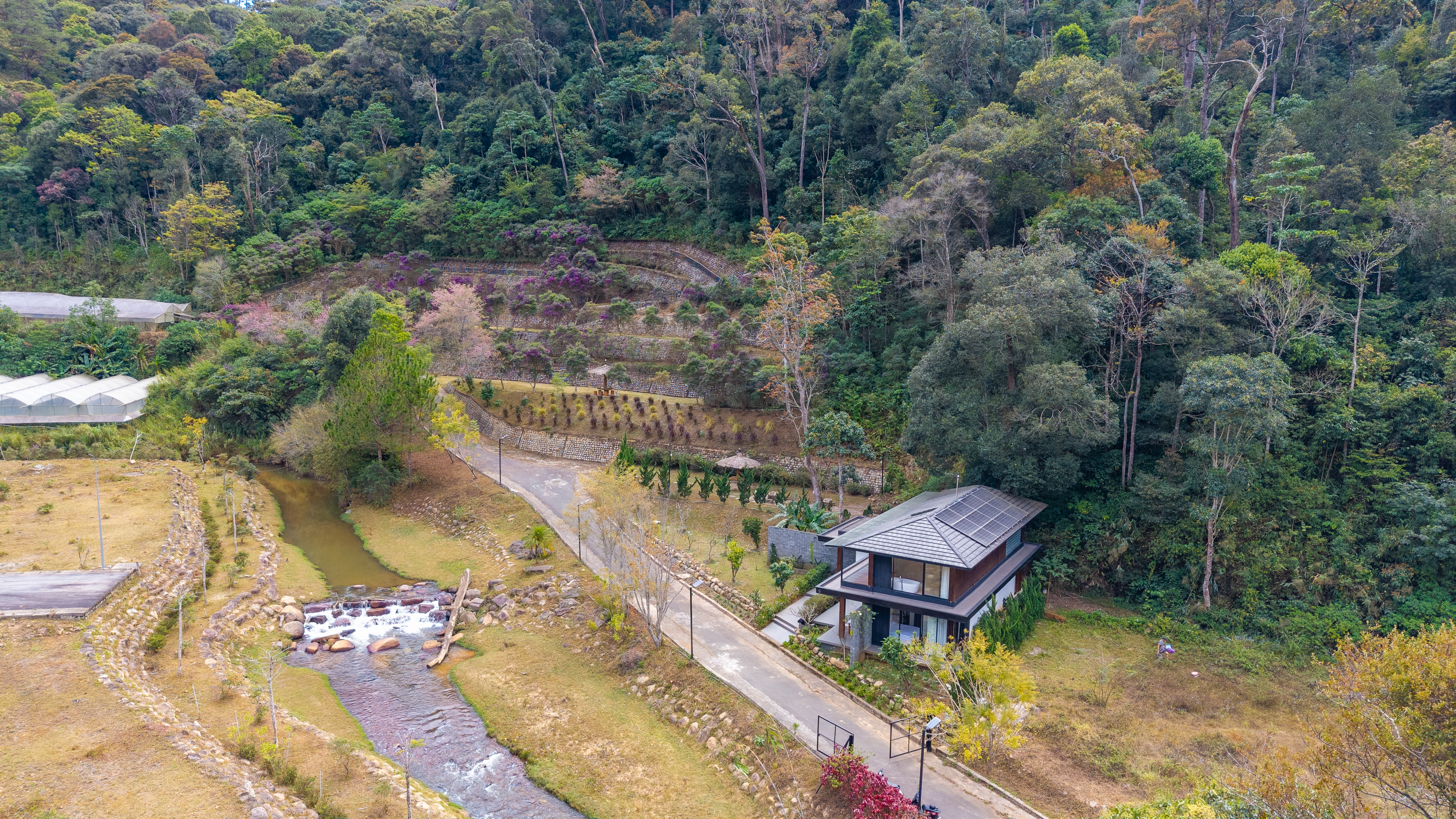 The Garden & Stream