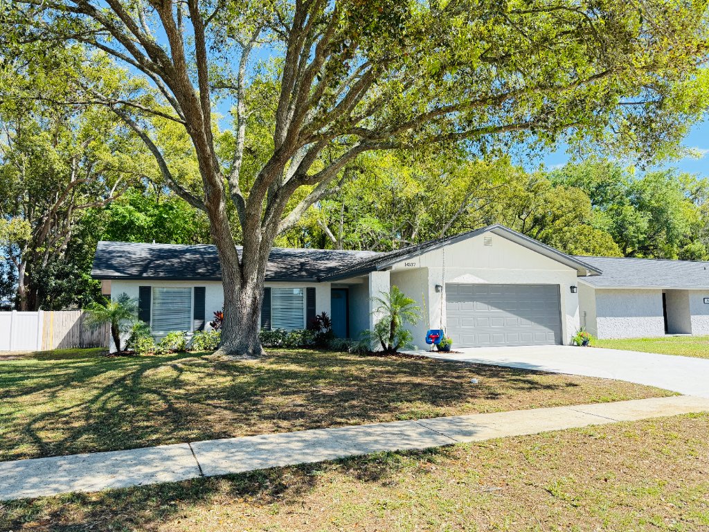 14337 Diplomat Dr photo 4