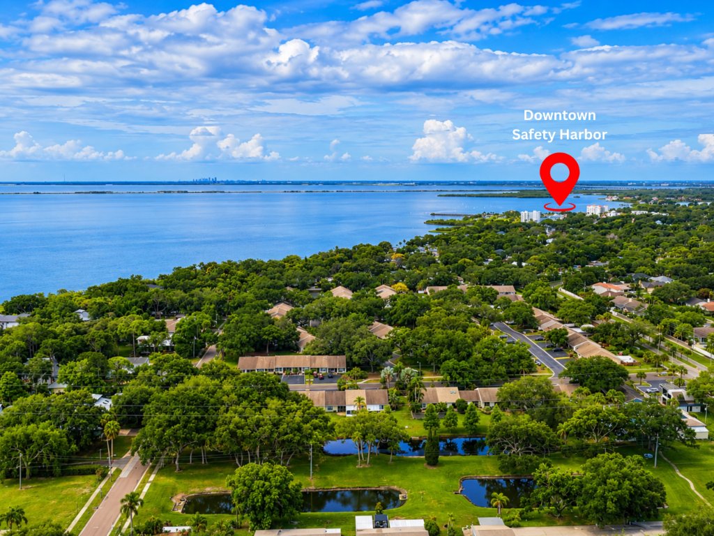 337 Plymouth St, Safety Harbor photo 42