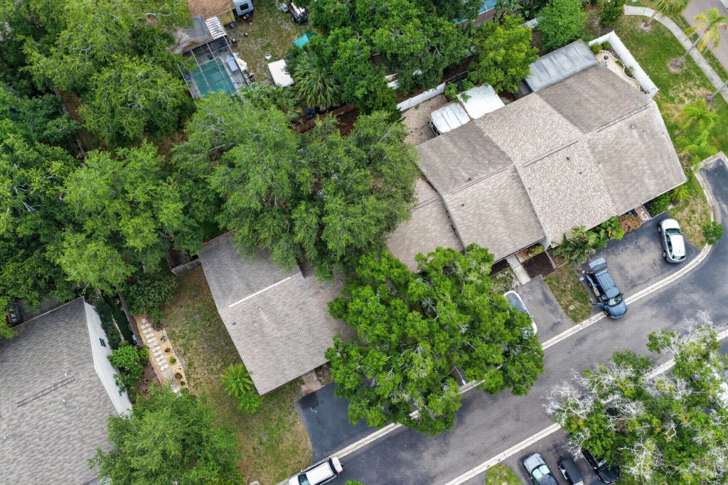 337 Plymouth St, Safety Harbor photo 37