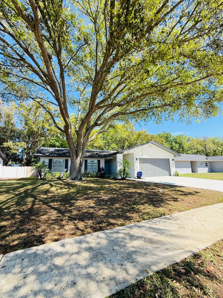 14337 Diplomat Dr photo 6