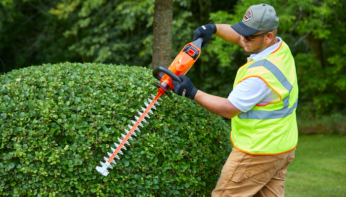 Landscapers