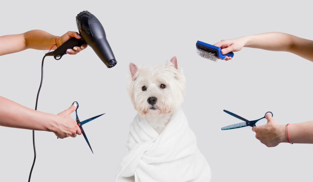 Pet Grooming