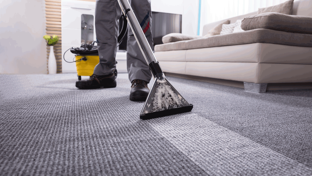 Carpet & Floor Cleaning