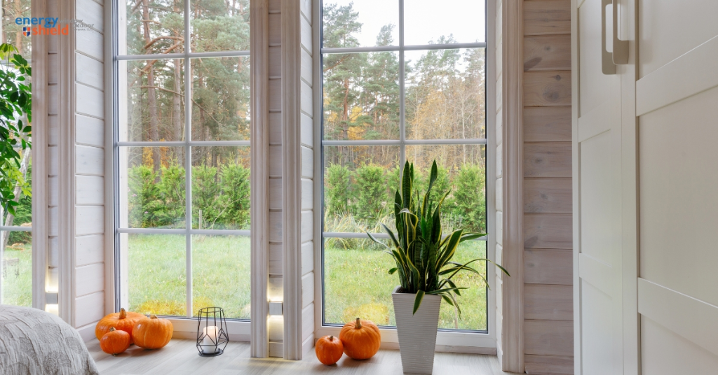 Windows & Doors