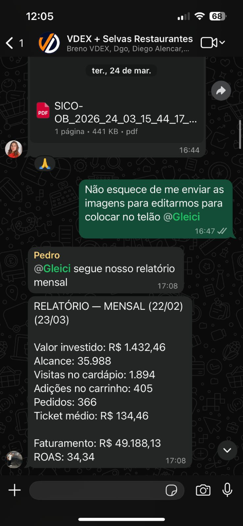 Selvas Restaurantes — ROAS 34,34