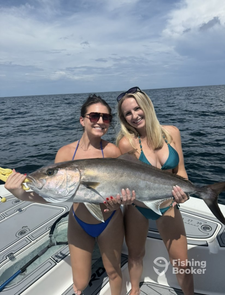 Amberjack