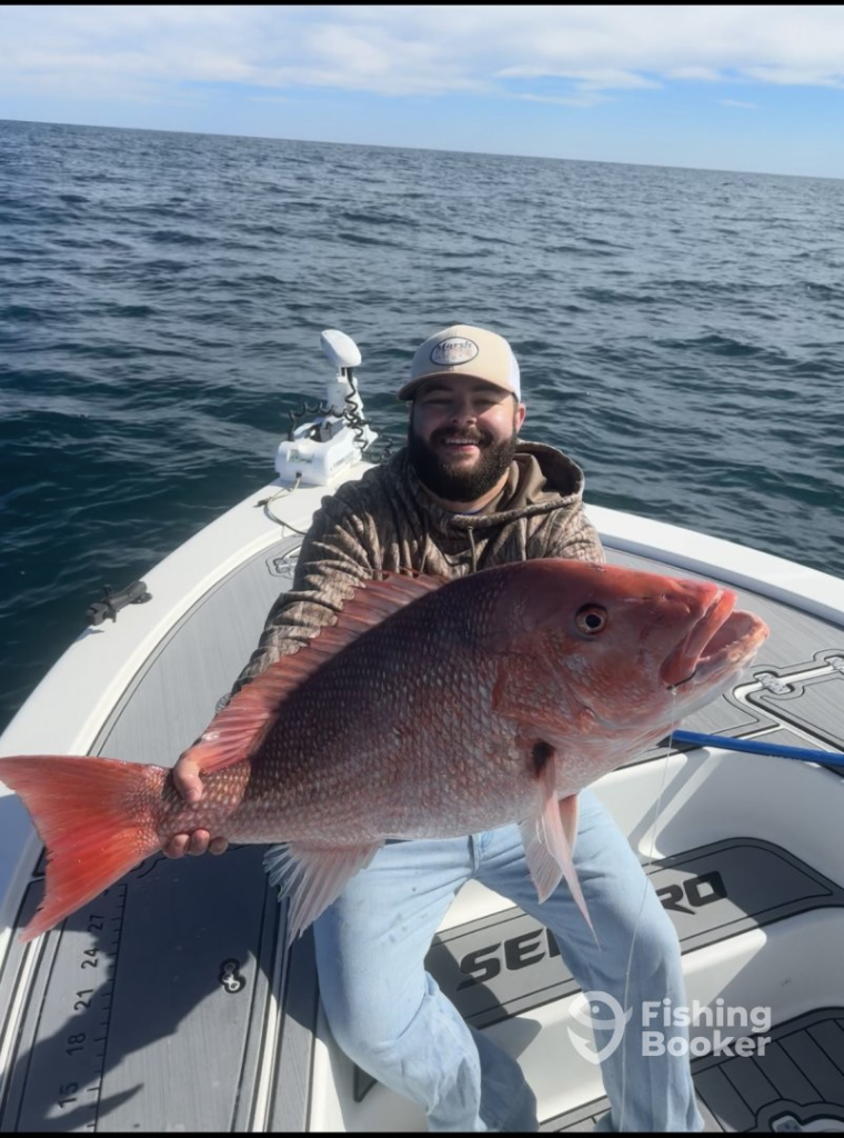 Big Red Snapper