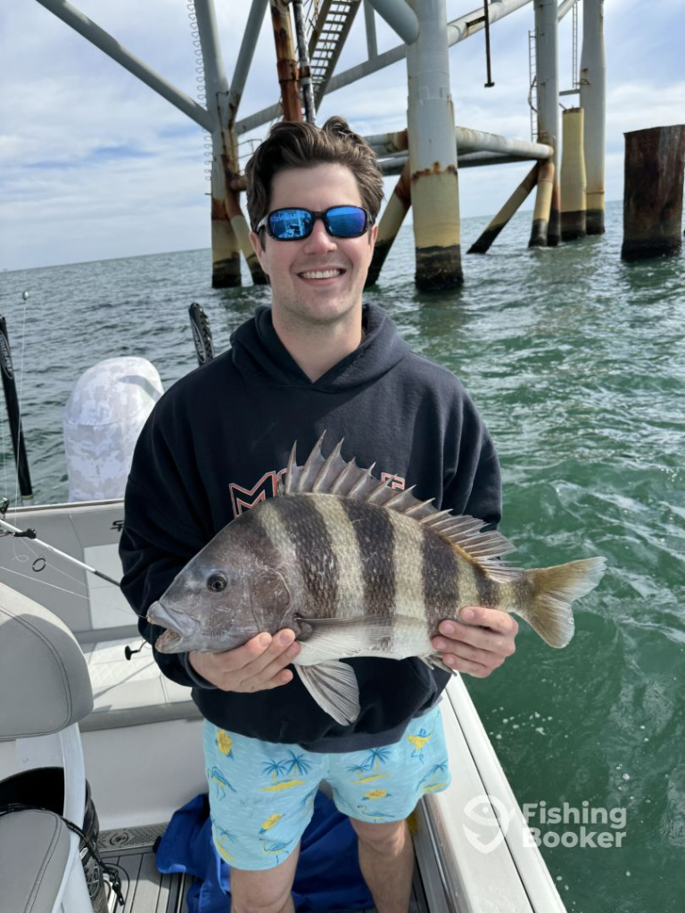 Sheepshead at the Platform
