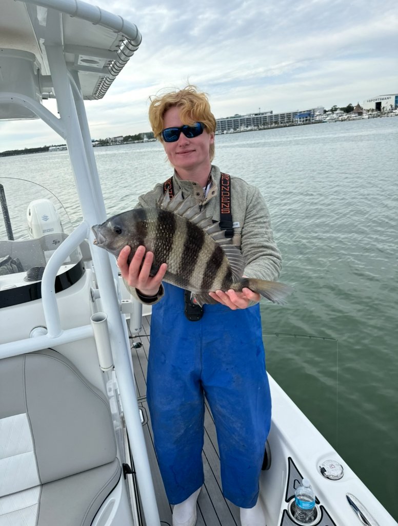 Sheepshead
