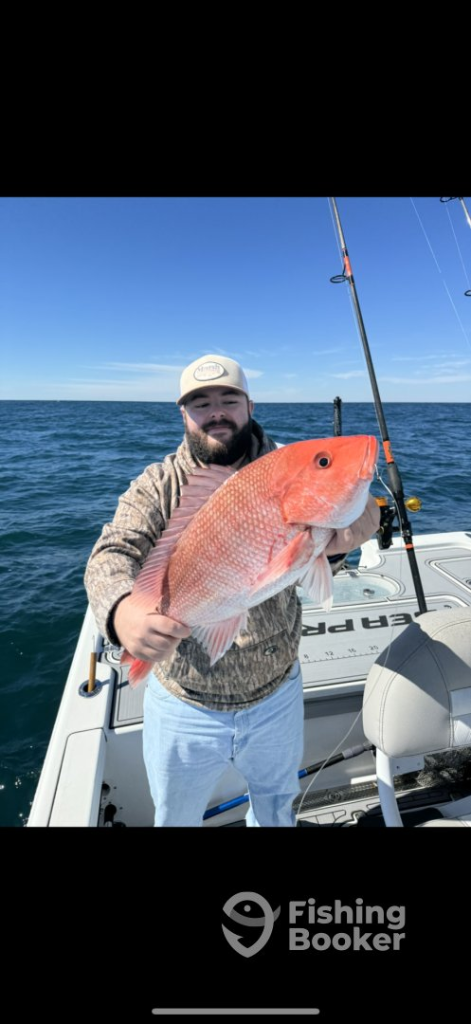 Big Red Snapper