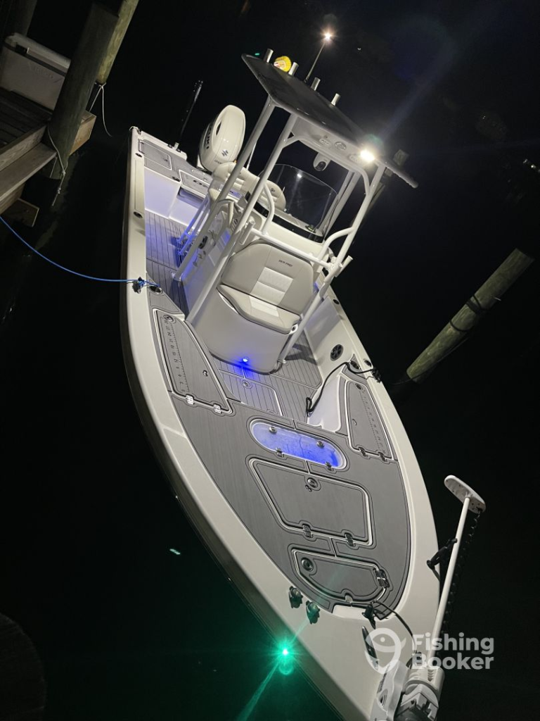 The Boat at Night