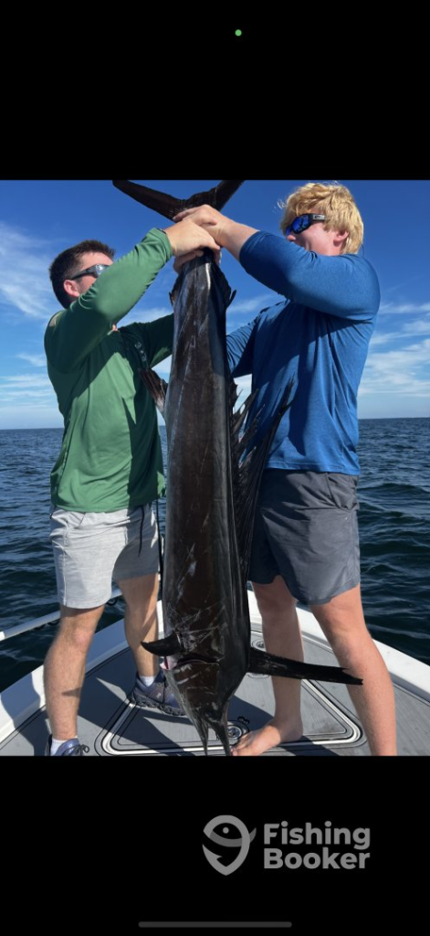 Big Sailfish