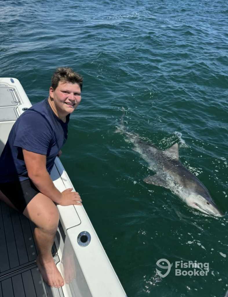 Shark at the Boat