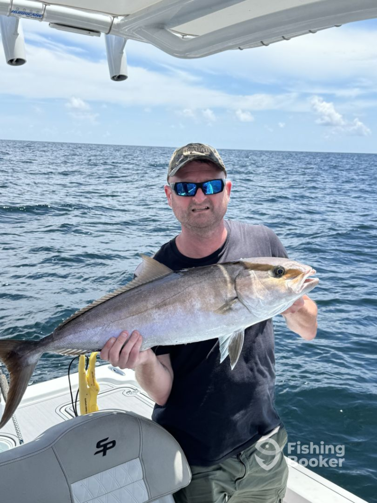 Big Amberjack