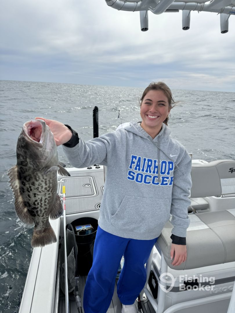 Gag Grouper