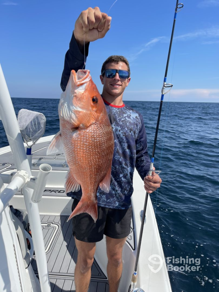 Morning Red Snapper