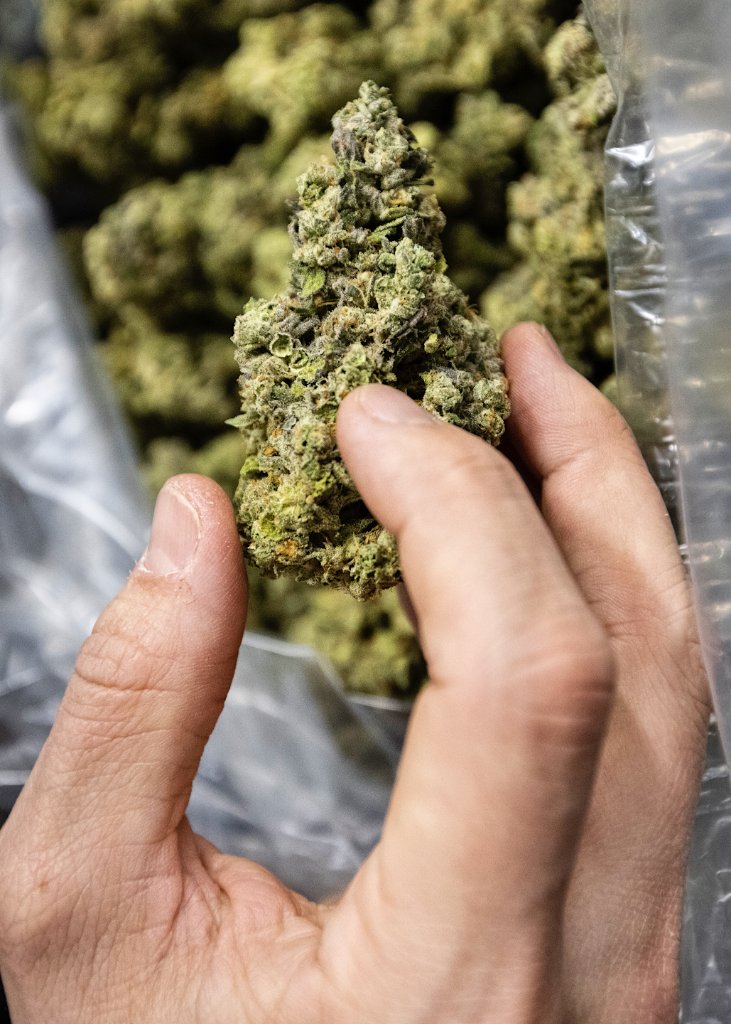 Cannabis Marketing in Los Angeles: The Local Playbook