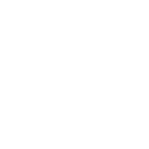 Cherub Revolution