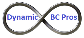 Dynamics Professional Services Logo