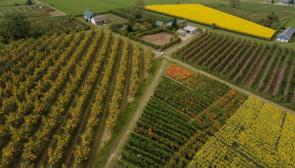Aziende Agricole