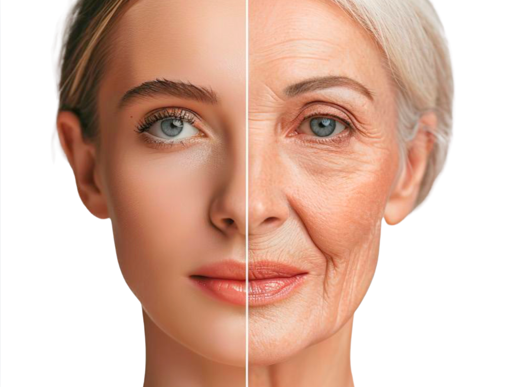 Aging Simulation