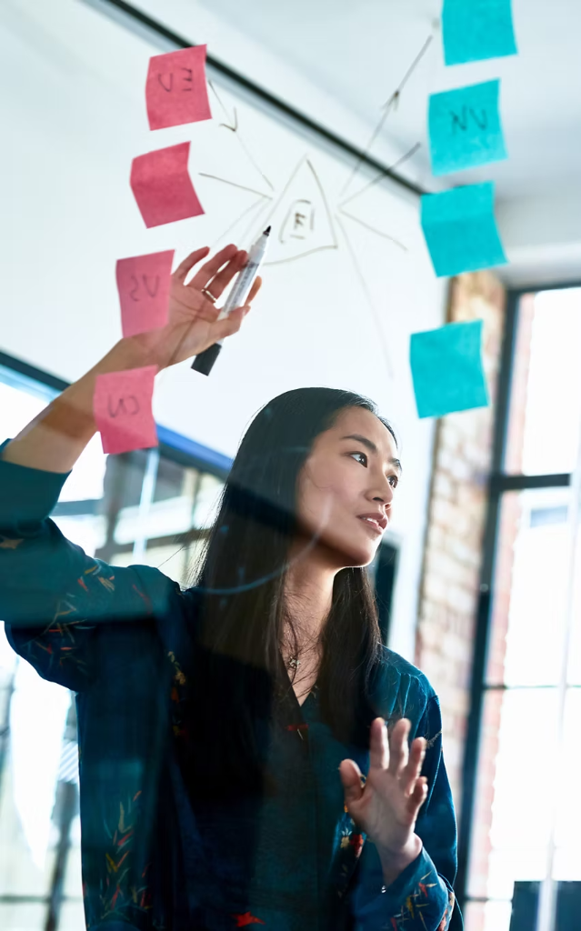 Fixing complex programmes that are not delivering.