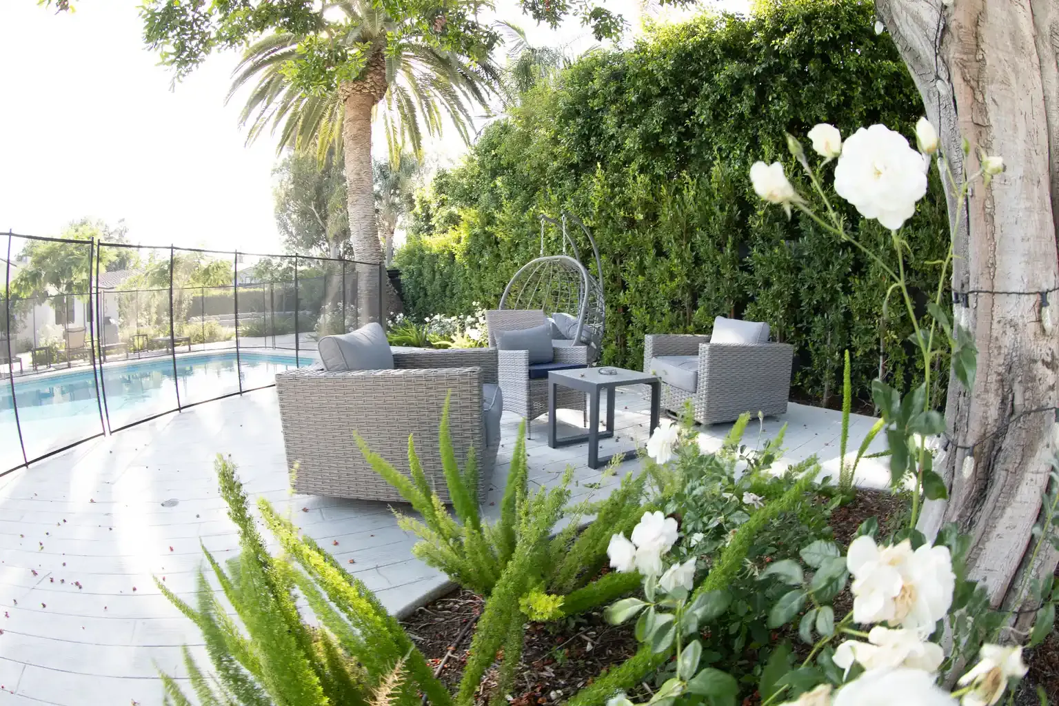Backyard pool patio lounge area with palm trees at men's sober living home Van Nuys CA — The Comeback SL