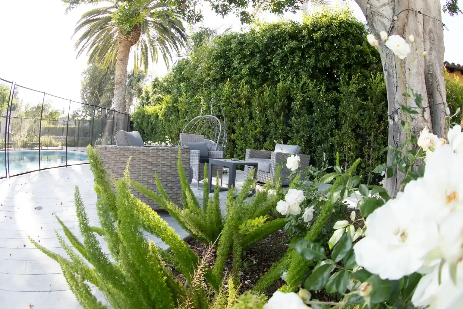 Open-plan kitchen, dining, and living area at structured men's sober living home Van Nuys Los Angeles — The Comeback SL