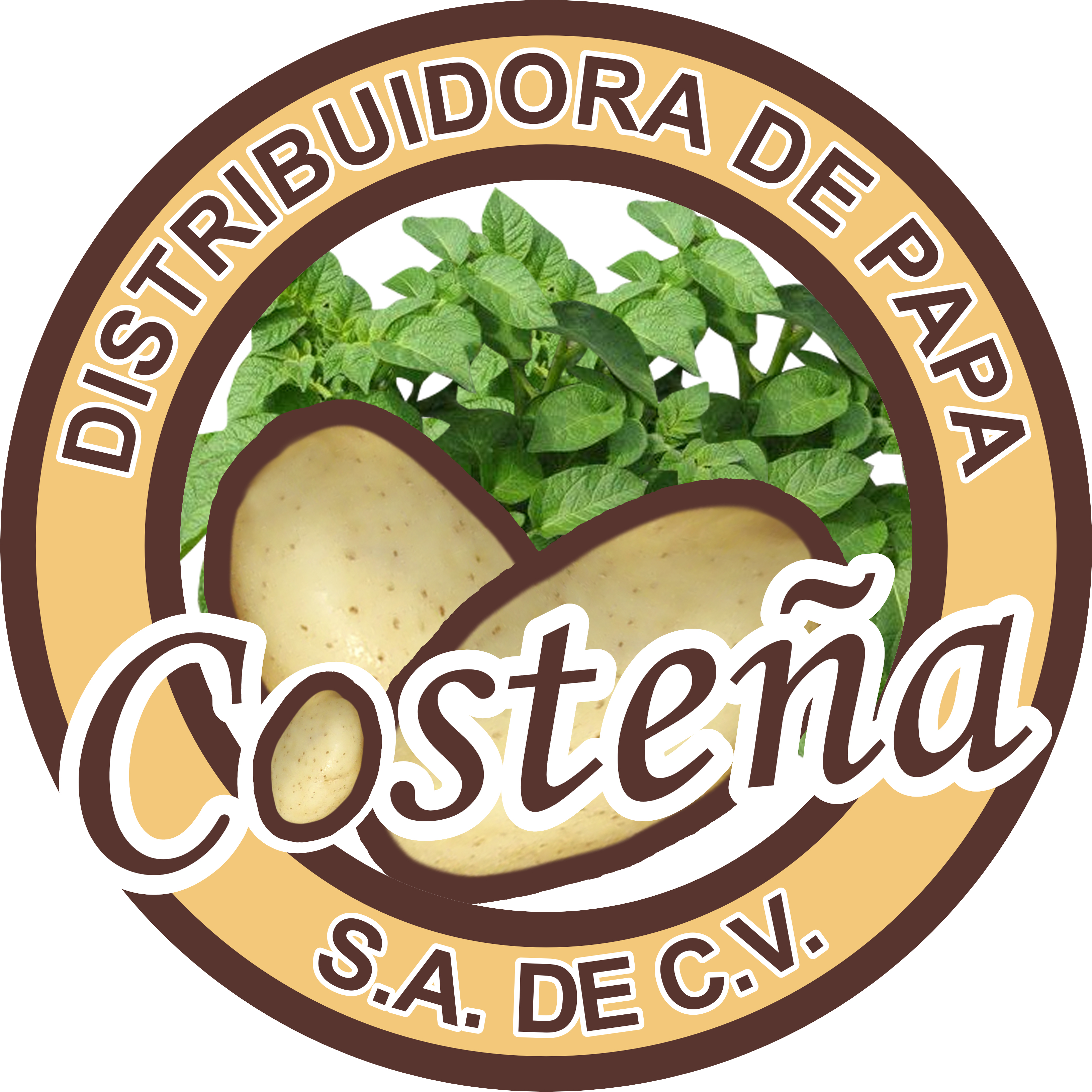 Distribuidora de Papa Costeña