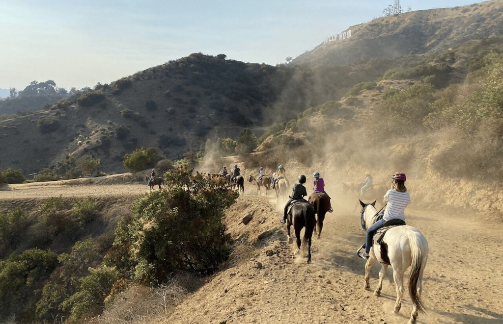 5 Best Horse Trails in Los Angeles - Horse Care Guide