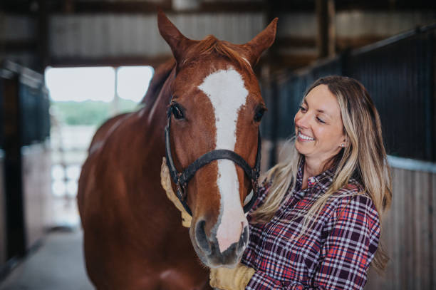 How Much Does It Cost to Own a Horse? A Complete Breakdown