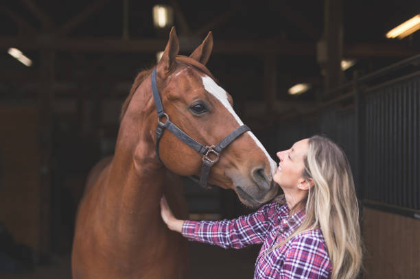 The Complete Horse Pre-Purchase Checklist - Buying a Horse
