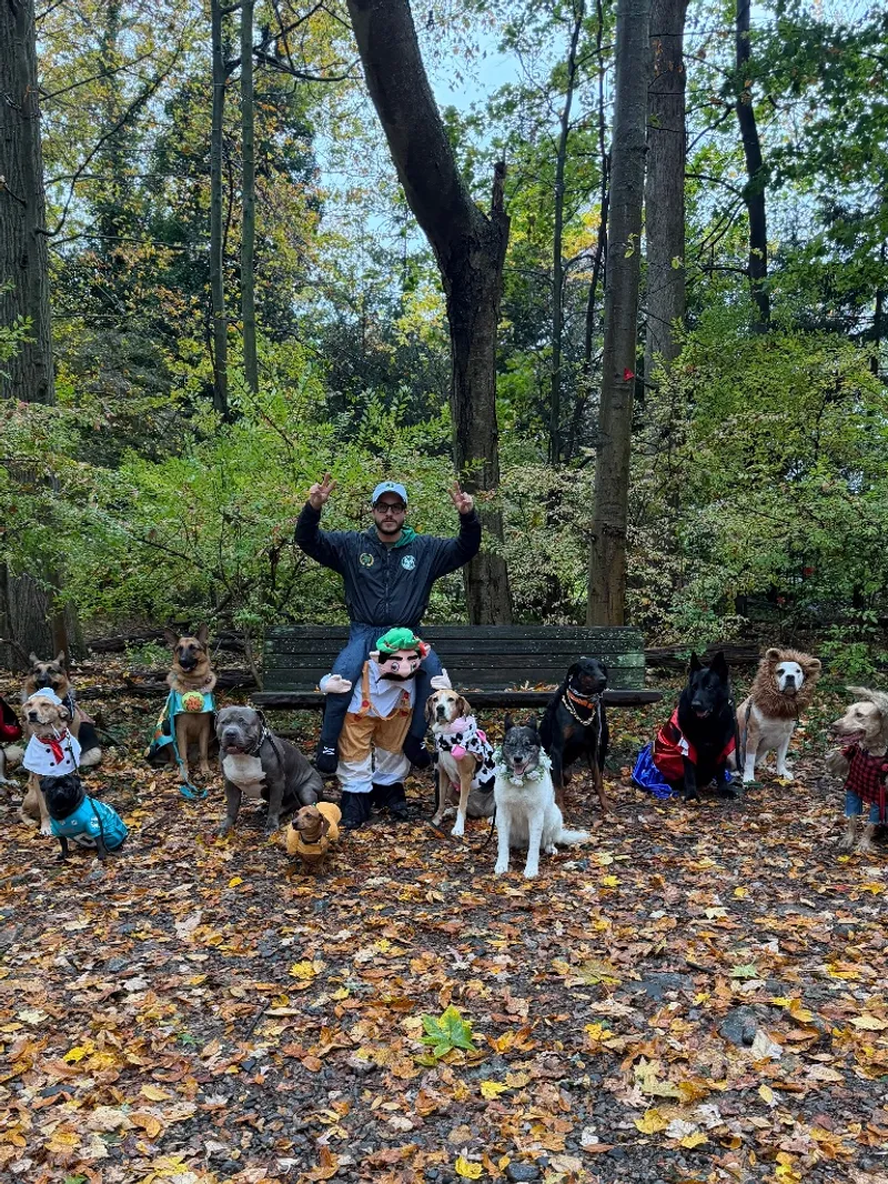 Dogs in Halloween costumes with their handler