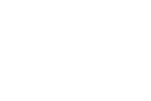 MODON