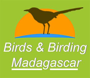 Birds & Birding Madagascar