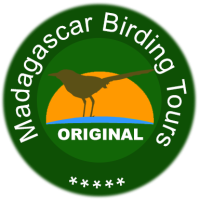 Madagascar Birding Tours Original