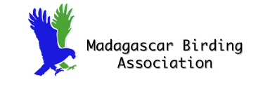 Madagascar Birding Association
