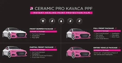 Paint Protection Film