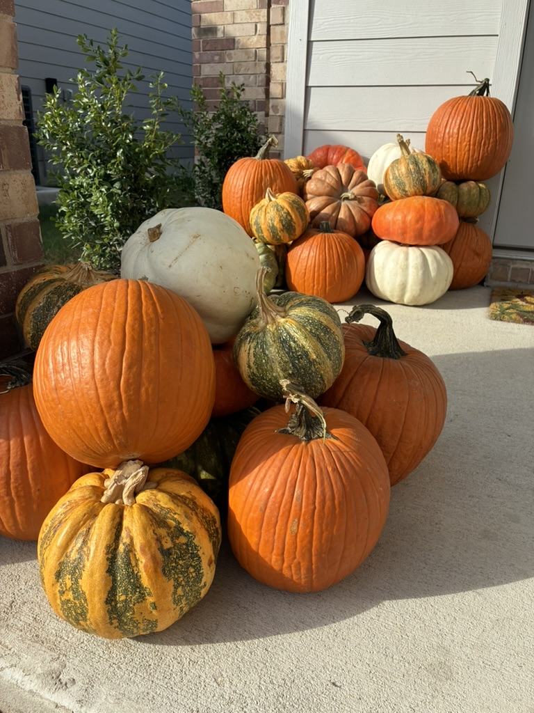 Close-up of dense pumpkin pile with white and variegated gourds against house corner — real installation
