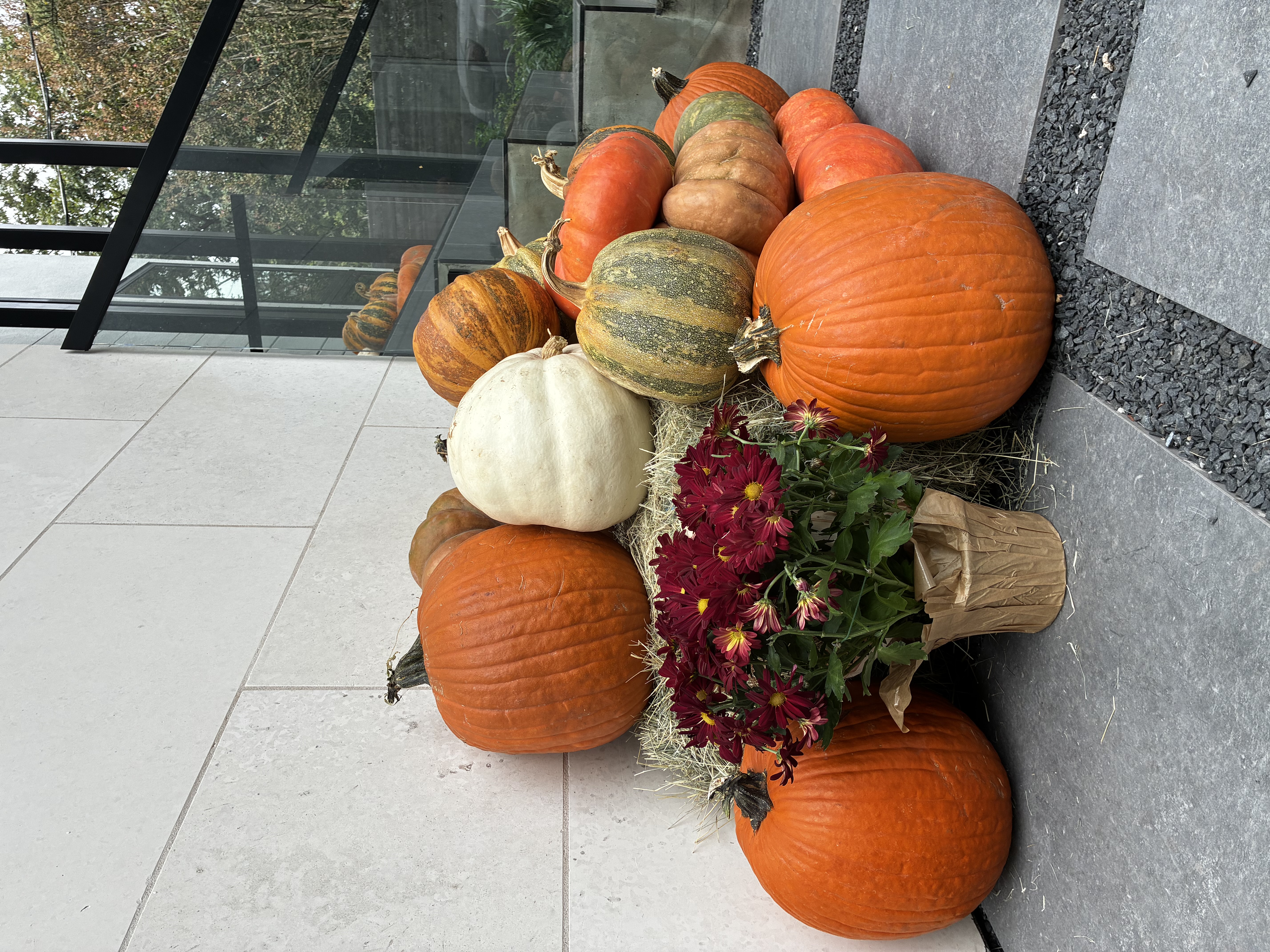 Large pumpkin with gourds and mums on grey tile porch — real installation