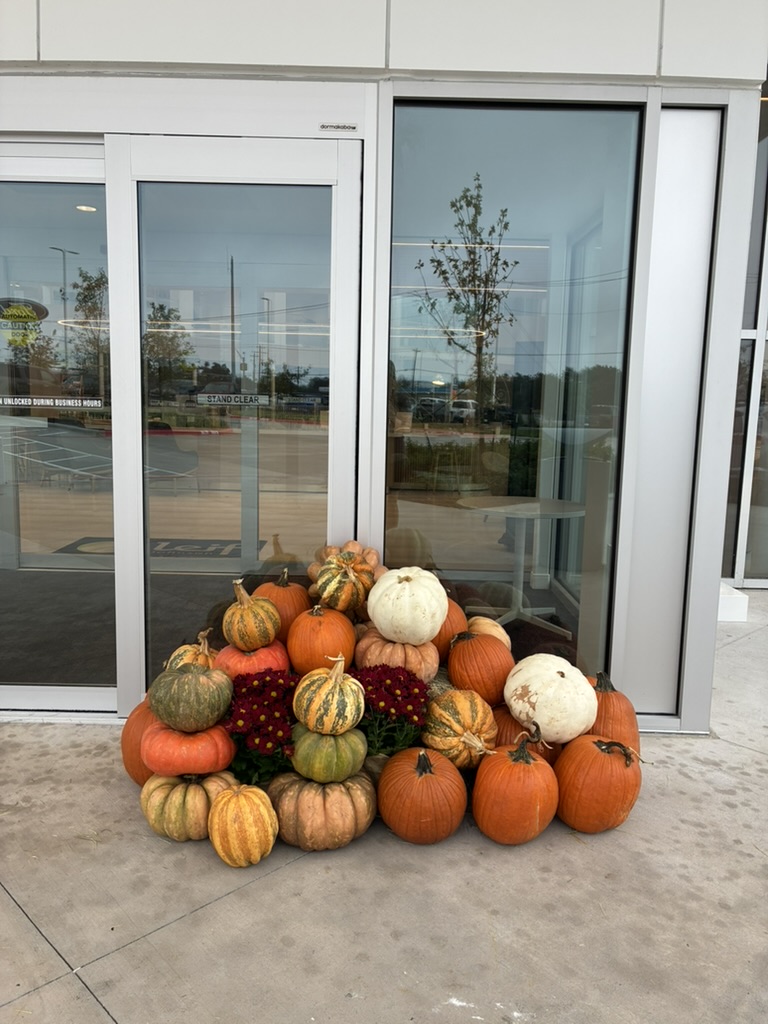 Dense pumpkin gourd and chrysanthemum display on concrete walkway — real installation