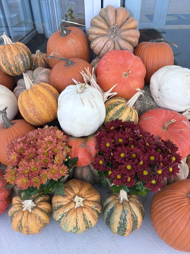 High-angle view of assorted pumpkins with bronze and burgundy chrysanthemums at glass entrance — real installation