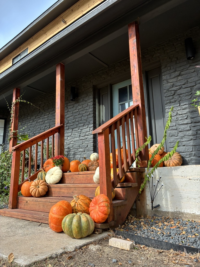 Residential porch with light blue door and cascading pumpkin display — real installation