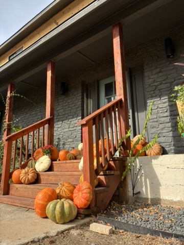 Wooden porch staircase with mixed pumpkins and mums at golden hour — real installation